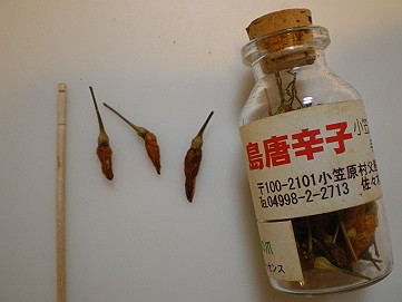 �x�W�^�u���O�����Ȕӂ��͂���L