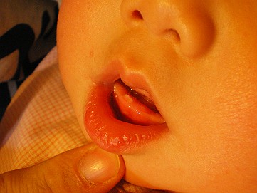 �x�W�^�u���O�����Ȕӂ��͂���L