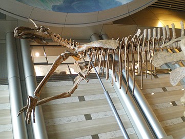 �x�W�^�u���O�����Ȕӂ��͂���L