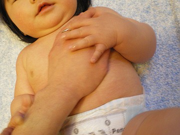 �x�W�^�u���O�����Ȕӂ��͂���L