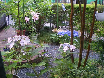 �x�W�^�u���O�����Ȕӂ��͂���L