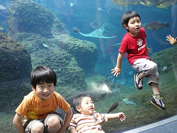 �x�W�^�u���O�����Ȕӂ��͂���L