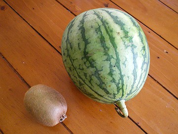 �x�W�^�u���O�����Ȕӂ��͂���L