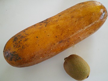 �x�W�^�u���O�����Ȕӂ��͂���L