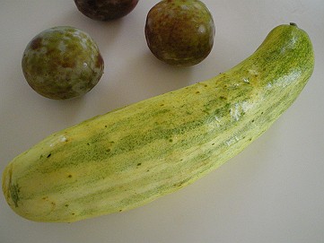 �x�W�^�u���O�����Ȕӂ��͂���L