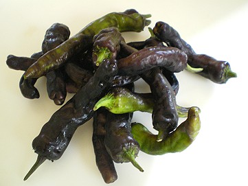 �x�W�^�u���O�����Ȕӂ��͂���L