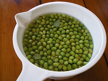 �x�W�^�u���O�����Ȕӂ��͂���L