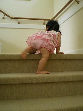 �x�W�^�u���O�����Ȕӂ��͂���L