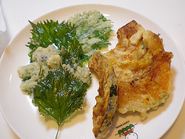 �x�W�^�u���O�����Ȕӂ��͂���L