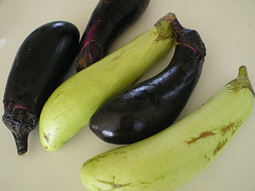 �x�W�^�u���O�����Ȕӂ��͂���L