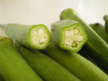 �x�W�^�u���O�����Ȕӂ��͂���L