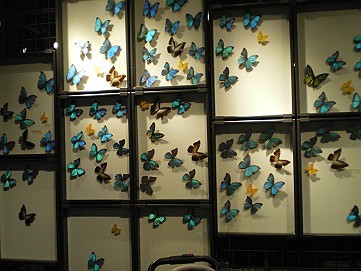 �x�W�^�u���O�����Ȕӂ��͂���L