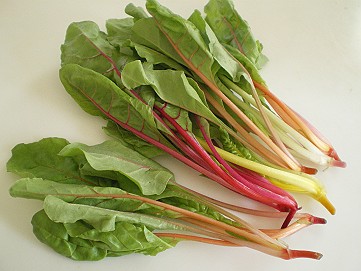 �x�W�^�u���O�����Ȕӂ��͂���L