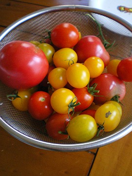 �x�W�^�u���O�����Ȕӂ��͂���L