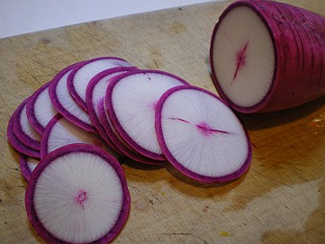 �x�W�^�u���O�����Ȕӂ��͂���L