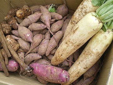 �x�W�^�u���O�����Ȕӂ��͂���L