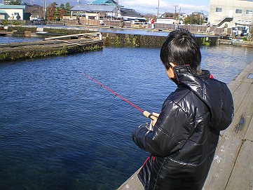 �x�W�^�u���O�����Ȕӂ��͂���L