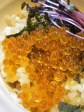 �x�W�^�u���O�����Ȕӂ��͂���L