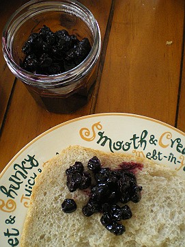 �x�W�^�u���O�����Ȕӂ��͂���L