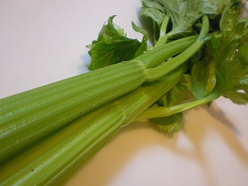 �x�W�^�u���O�����Ȕӂ��͂���L