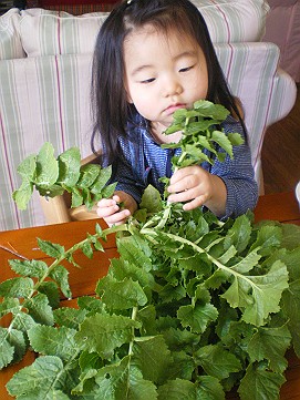 �x�W�^�u���O�����Ȕӂ��͂���L