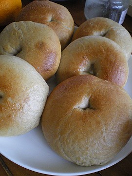 �x�W�^�u���O�����Ȕӂ��͂���L