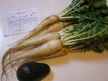 �x�W�^�u���O�����Ȕӂ��͂���L