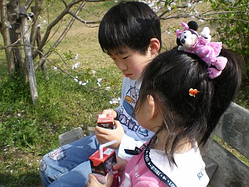 �x�W�^�u���O�����Ȕӂ��͂���L