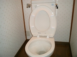 ���t�H�[���Ɠh���H���́A�i���Œn���̓��X�ŁI