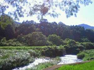 *�Z�܂��̈��S���k��*�@�� ��؍H���X