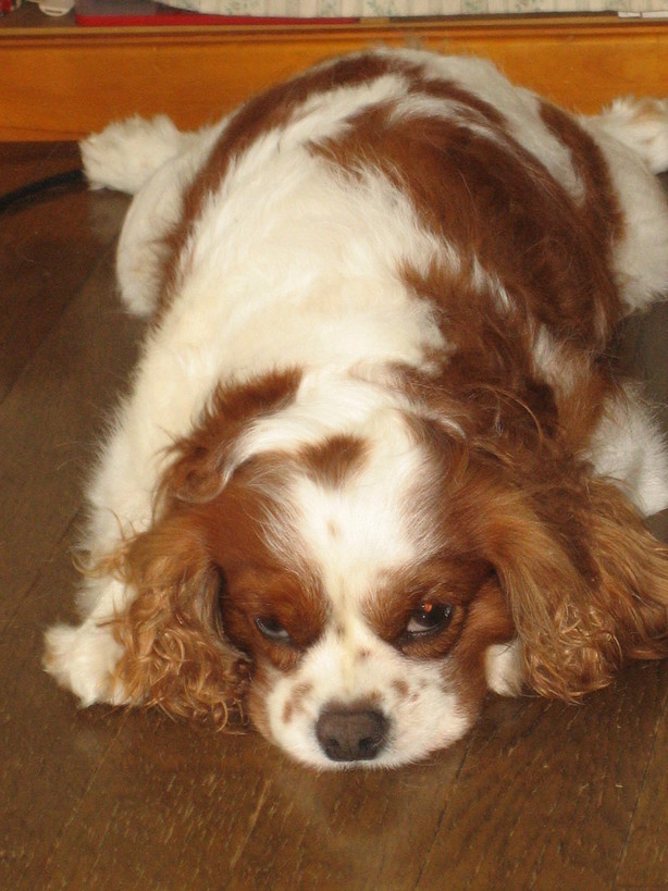 ���S�E�O�������� �� ���Ö�