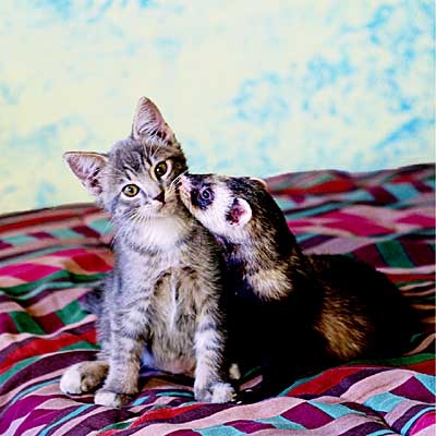 ���S�E�O�������� �� ���Ö�