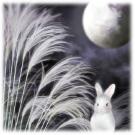 ���S�E�O�������� �� ���Ö�