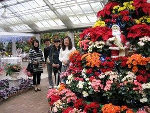 ���S�E�O�������� �� ���Ö�