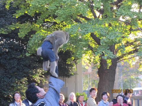 ���S�E�O�������� �� ���Ö�