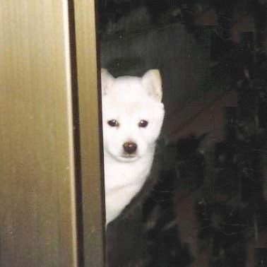 ���S�E�O�������� �� ���Ö�