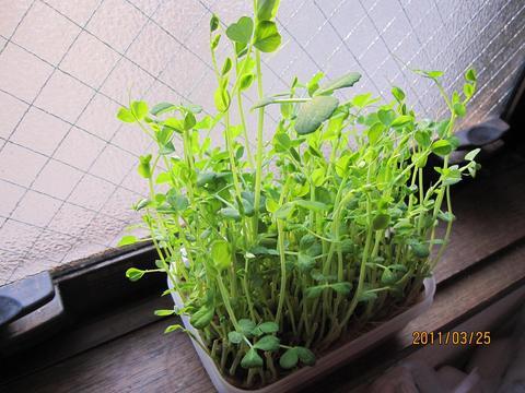 ���S�E�O�������� �� ���Ö�