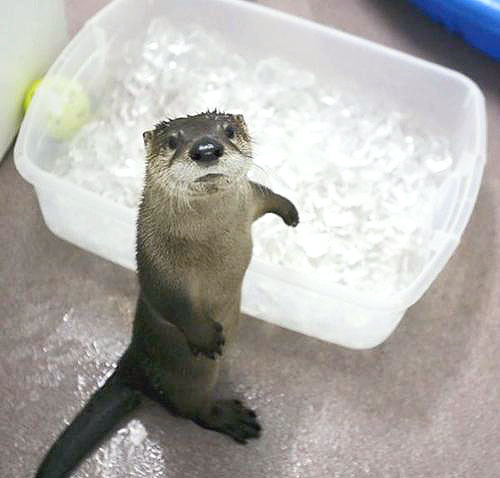 ���S�E�O�������� �� ���Ö�