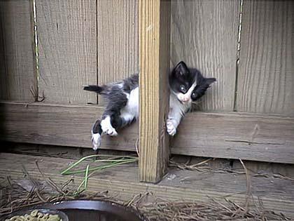 ���S�E�O�������� �� ���Ö�