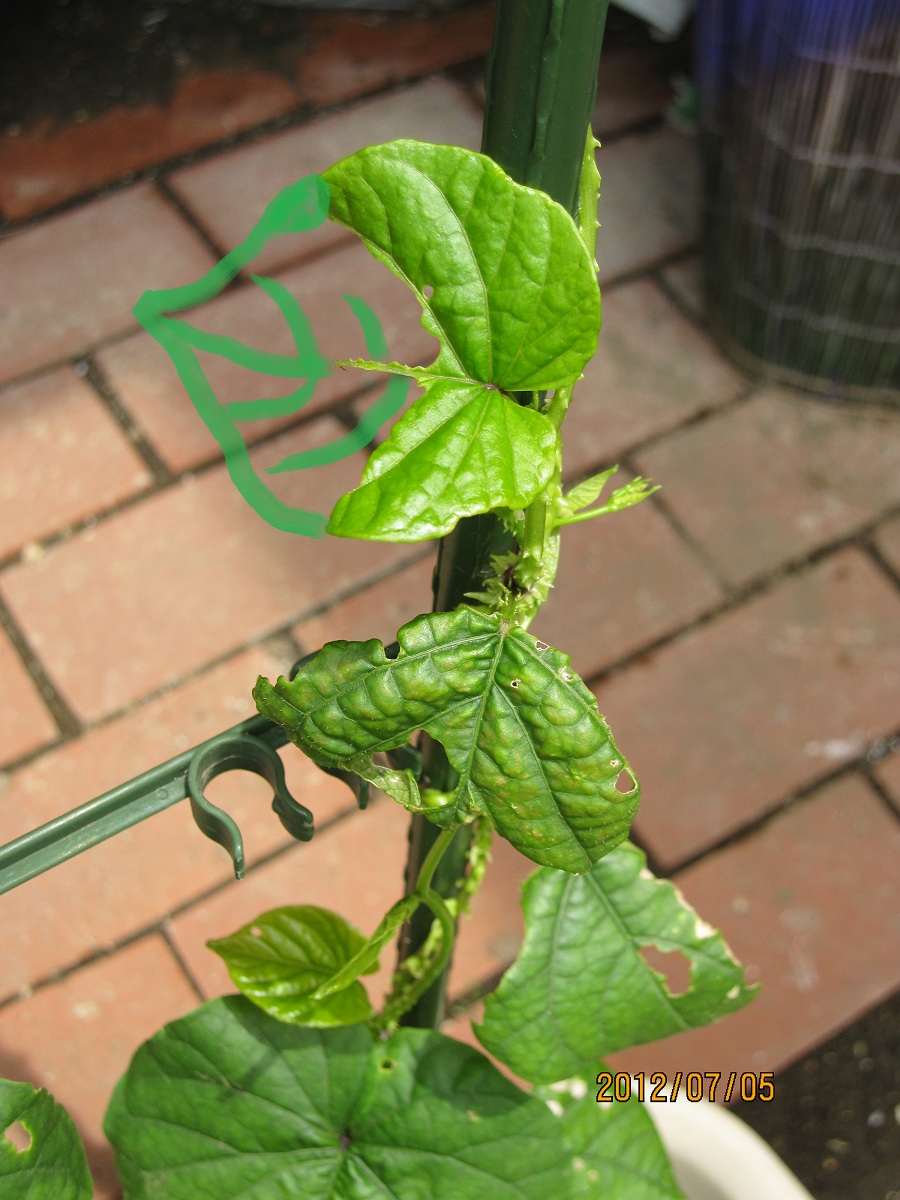 ���S�E�O�������� �� ���Ö�