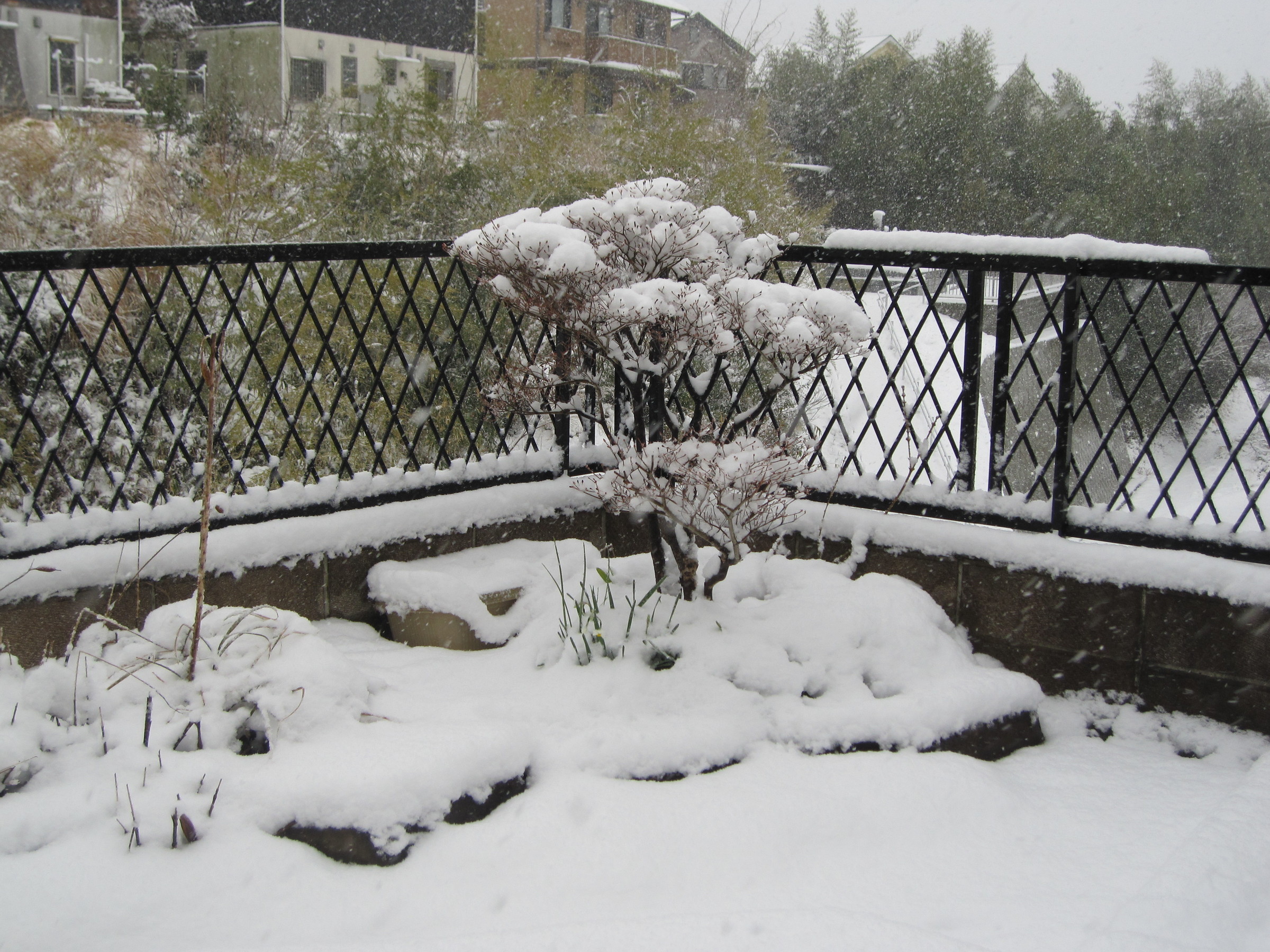 ���S�E�O�������� �� ���Ö�