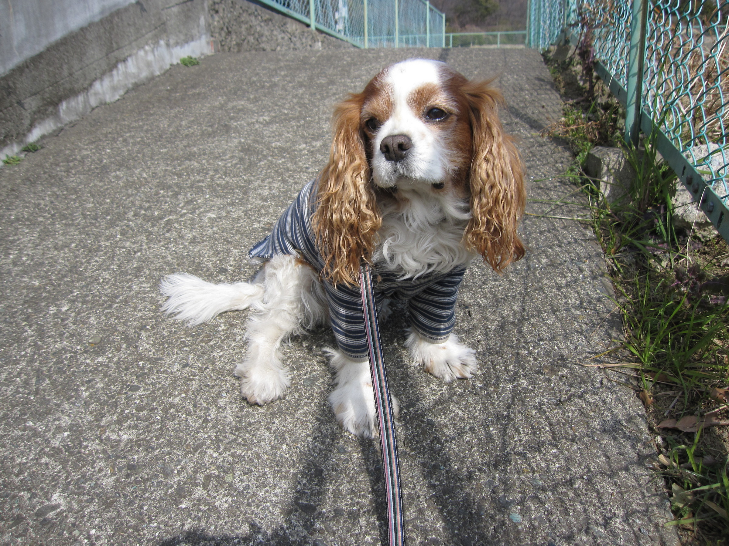 ���S�E�O�������� �� ���Ö�