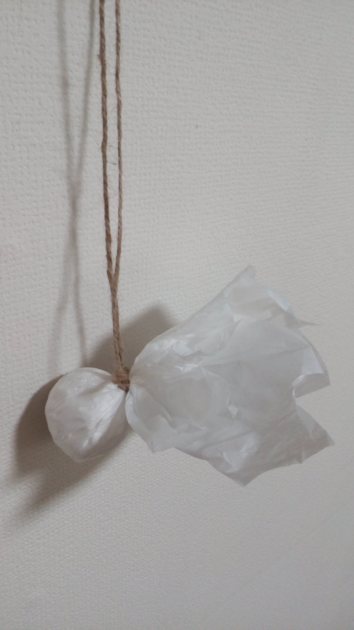 ���S�E�O�������� �� ���Ö�