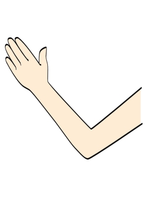 ���S�E�O�������� �� ���Ö�