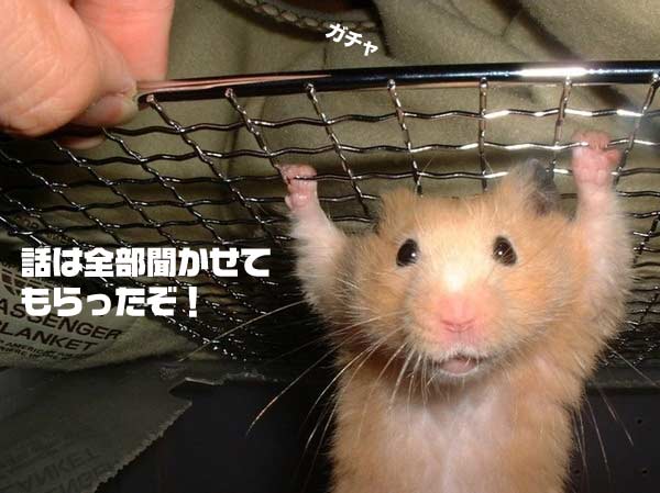 ���S�E�O�������� �� ���Ö�