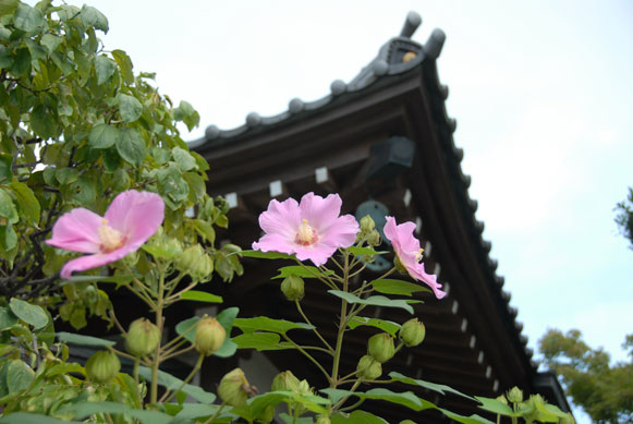 ���S�E�O�������� �� ���Ö�