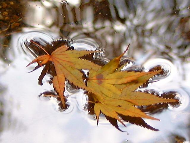 ���S�E�O�������� �� ���Ö�