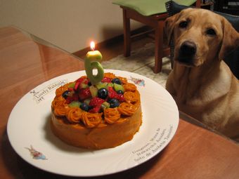 ���������肪�Ƃ�