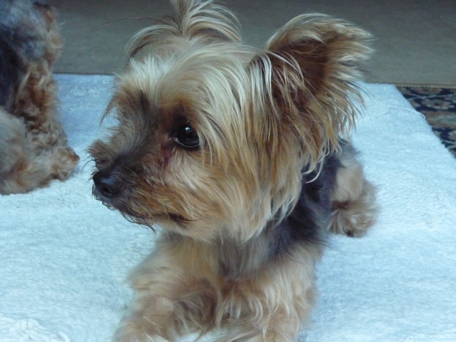 �C�E�R�E���A�킪�l���I