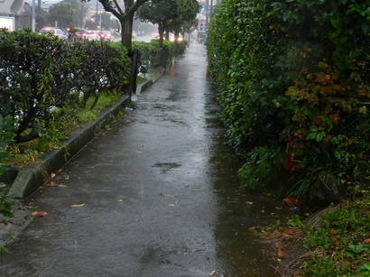 ���ˎs�c��c���E�����������w���C�A���C�A���C�I�x